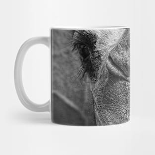 'Baby Camel' - eye-to-eye Mug